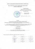 Специальная оценка условий труда. Изображение №1